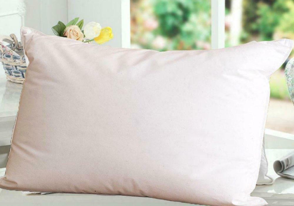 Premium Feather Down King Pillow